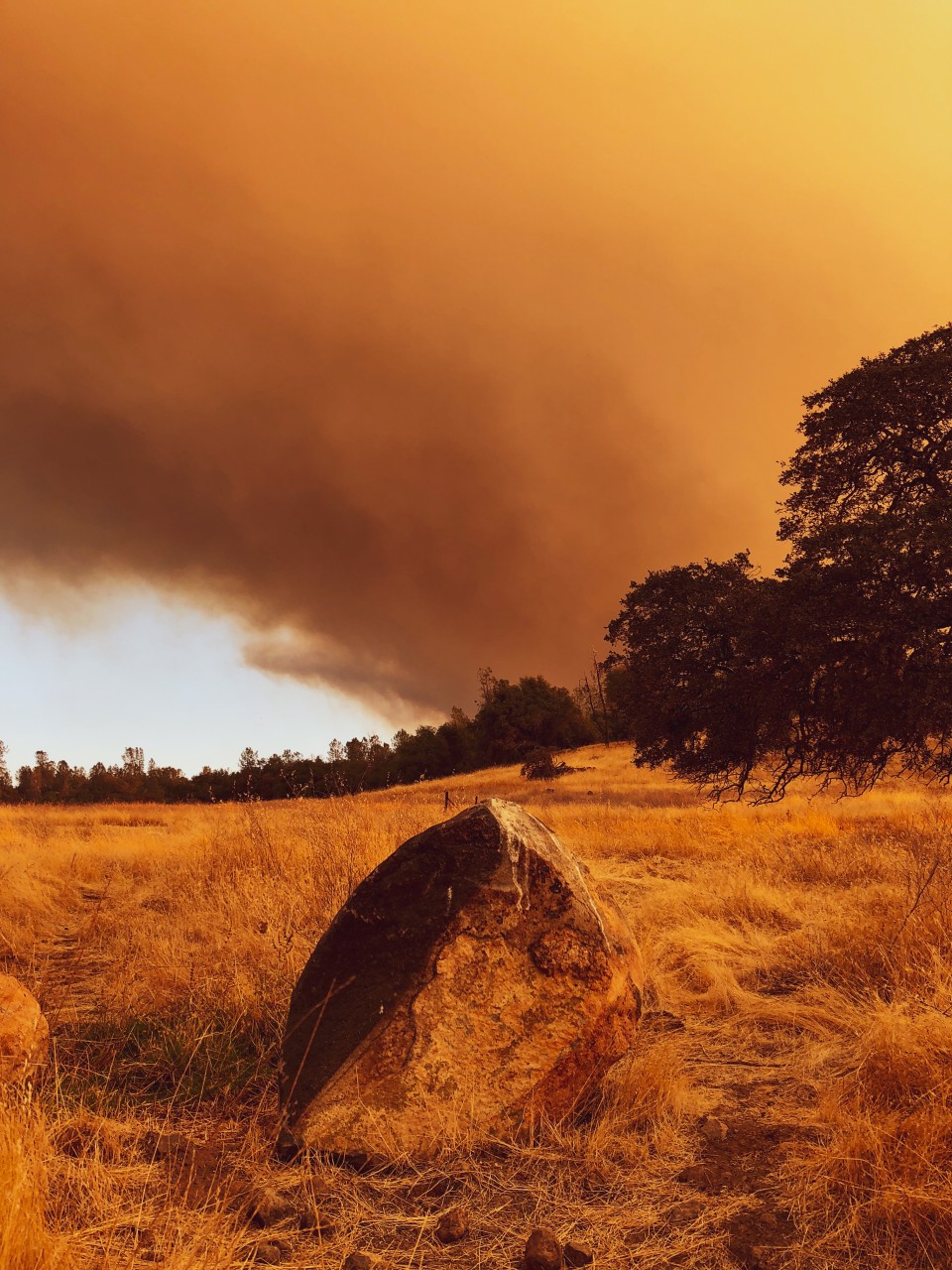 35 Miles and Counting