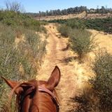 Trails, Camping & Adventures