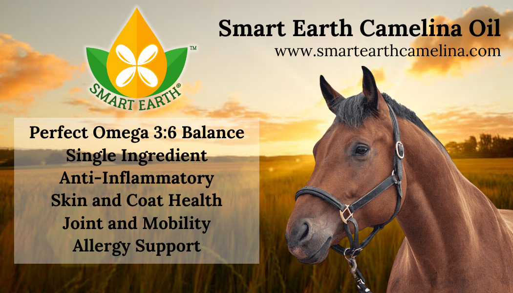 Tammy’s Picks: Camelina Oil